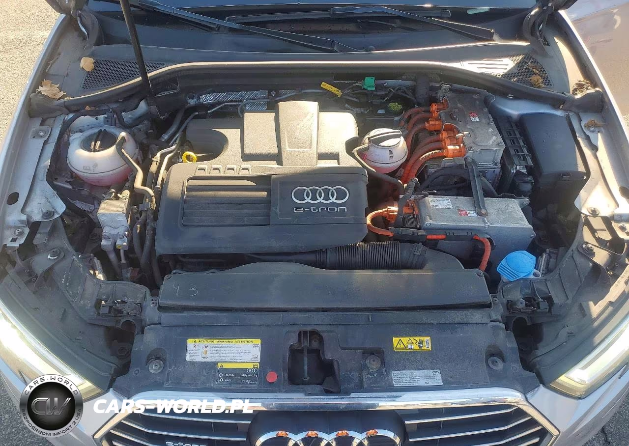 2017 Audi A3 E-Tron Premium Plus VIN:WAUTPBFF1HA056743 - 11