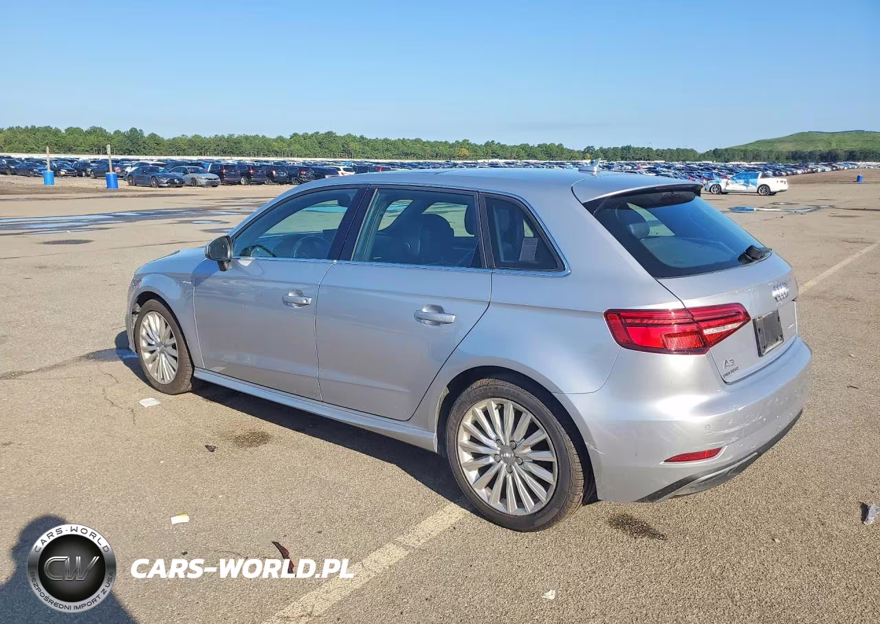 2017 Audi A3 E-Tron Premium Plus VIN:WAUTPBFF1HA056743 - 2
