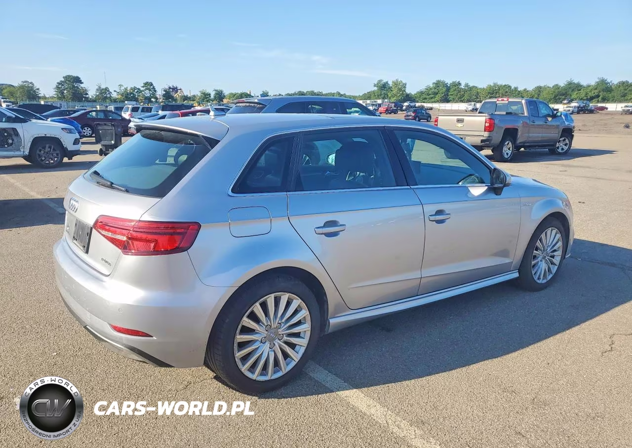 2017 Audi A3 E-Tron Premium Plus VIN:WAUTPBFF1HA056743 - 3