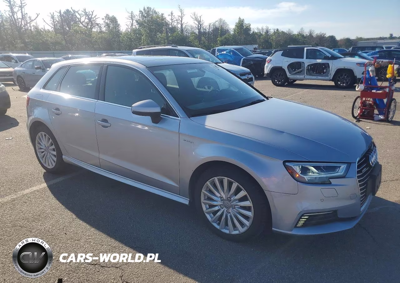 2017 Audi A3 E-Tron Premium Plus VIN:WAUTPBFF1HA056743 - 4