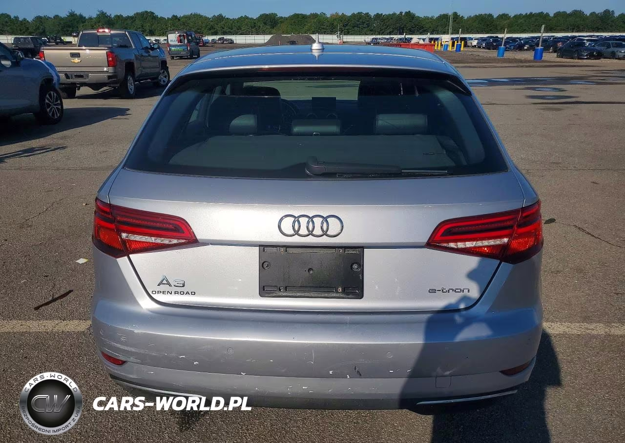 2017 Audi A3 E-Tron Premium Plus VIN:WAUTPBFF1HA056743 - 6
