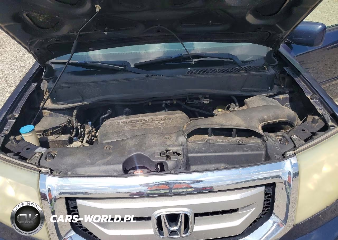 2010 Honda Pilot Exl VIN:5FNYF3H54AB020368 - 12