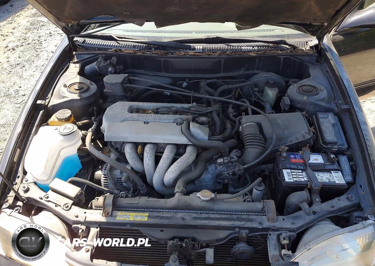 1998 Toyota Corolla Ve VIN:2T1BR18E7WC061171 - 11