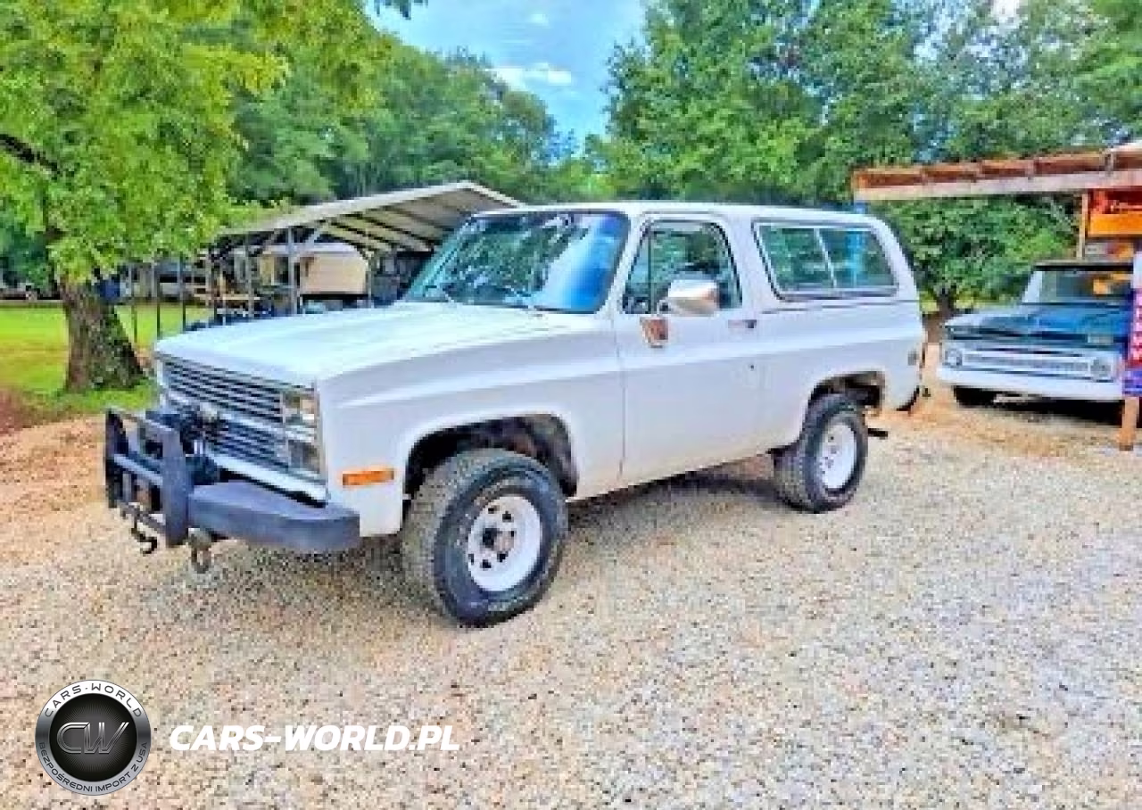 1983 Chevrolet Blazer K10 VIN:1G8EK18L4DF113581 - 2