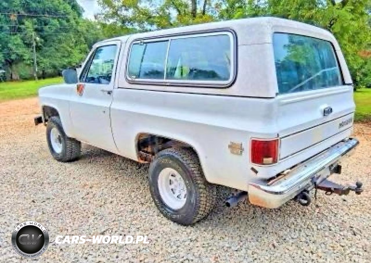 1983 Chevrolet Blazer K10 VIN:1G8EK18L4DF113581 - 3