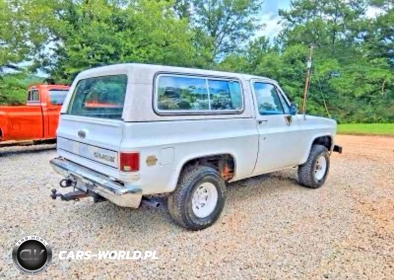1983 Chevrolet Blazer K10 VIN:1G8EK18L4DF113581 - 4