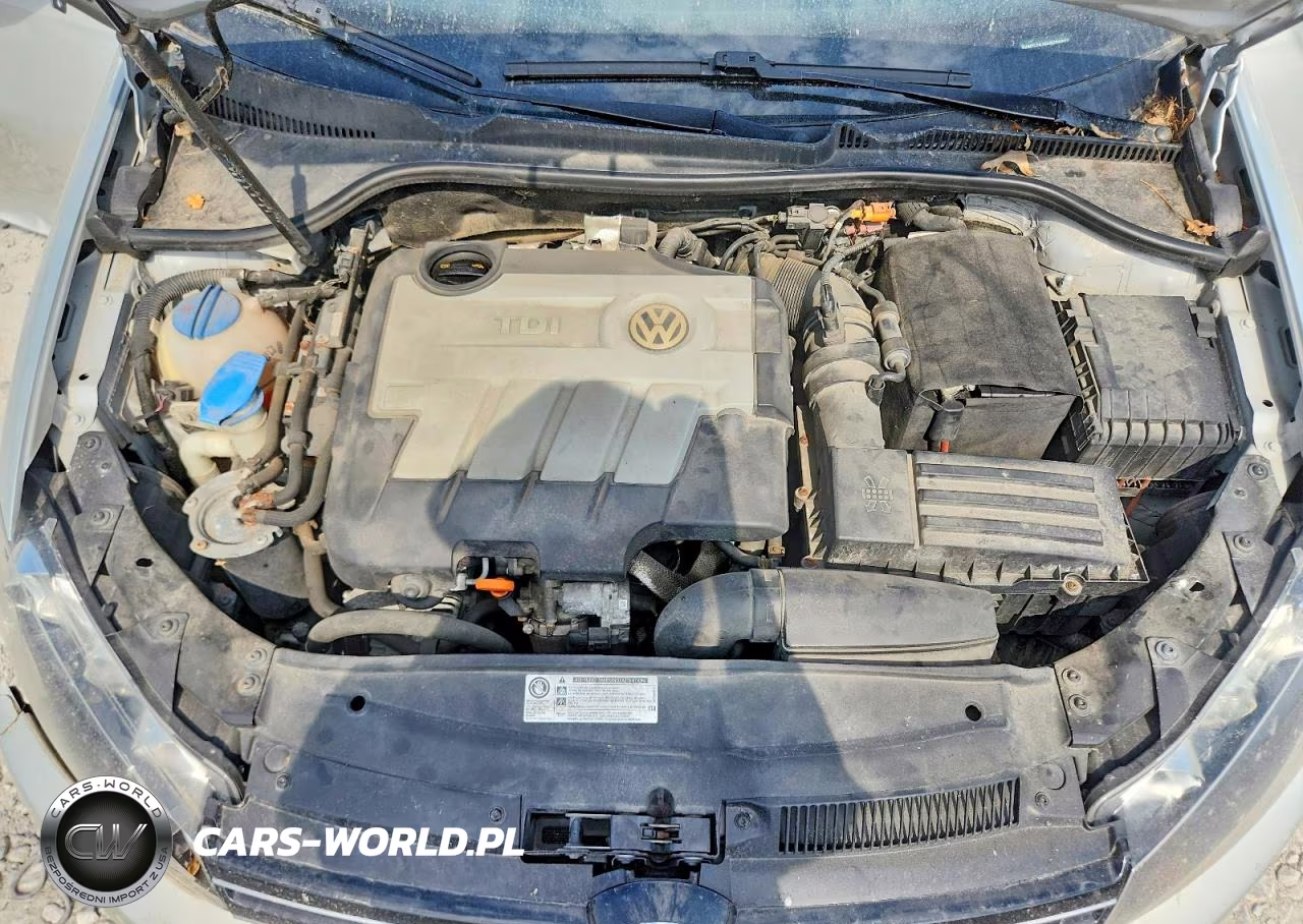 2010 Volkswagen Jetta Tdi VIN:3VWTL7AJ9AM700812 - 11
