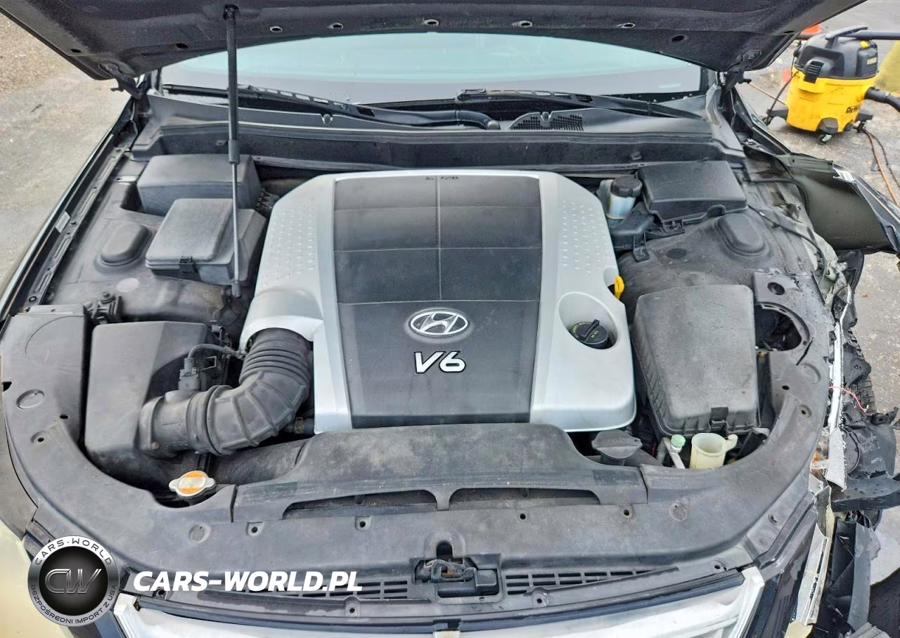 2010 Hyun Genesis VIN:KMHGC4DE6AU100726 - 11