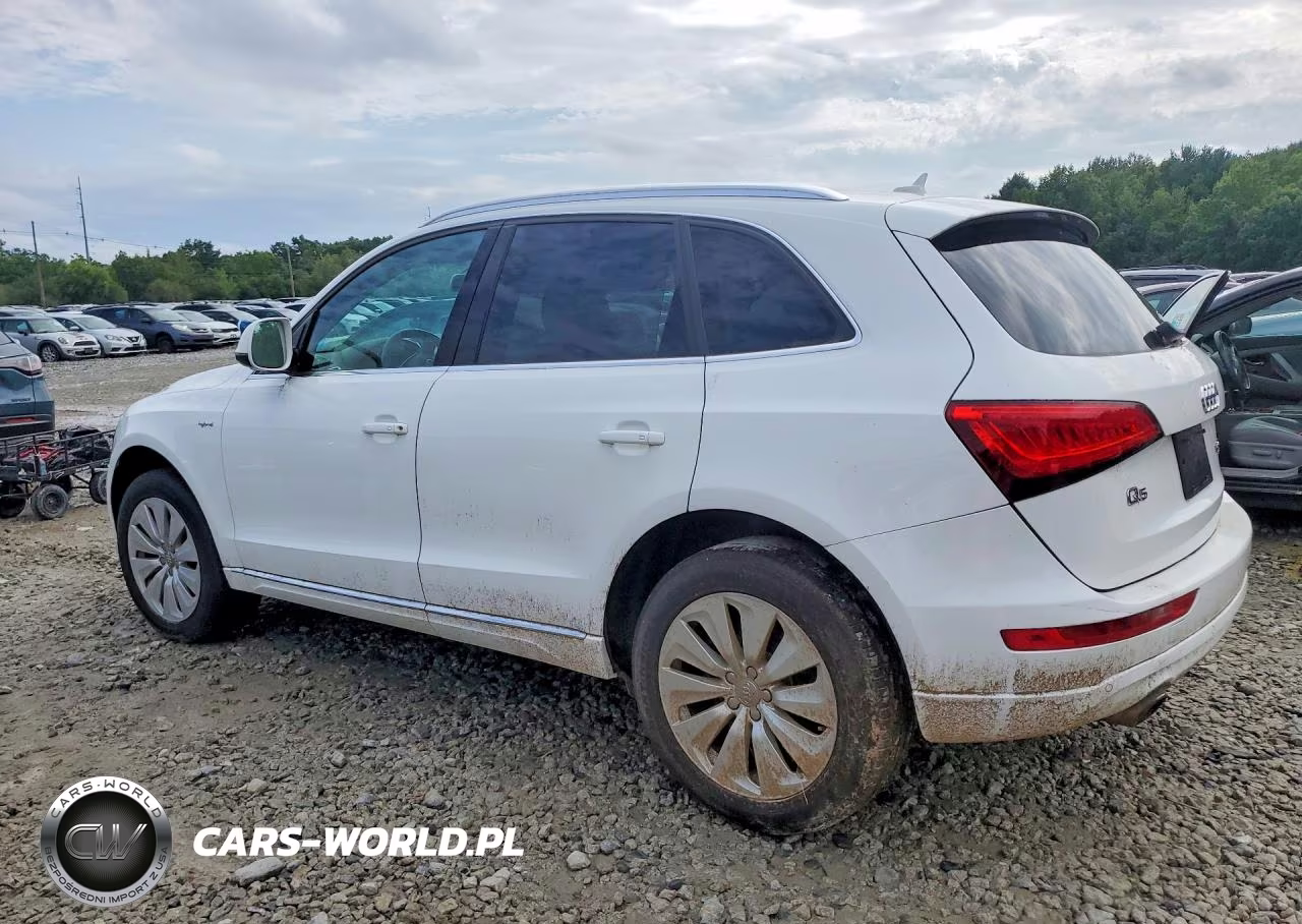 2013 Audi Q5 Premium Hybrid VIN:WA1C8AFP5DA007309 - 2
