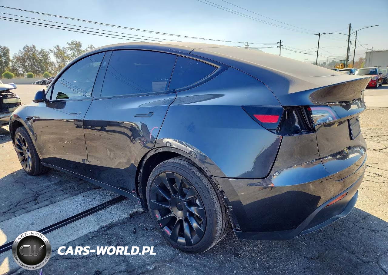 2024 Tesla Model Y VIN:7SAYGDED4RF054422 - 2