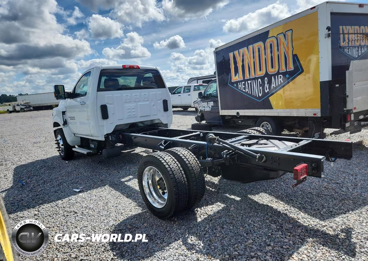 2020 Chevrolet Silverado Medium Duty VIN:1HTKHPVM8LH599650 - 2