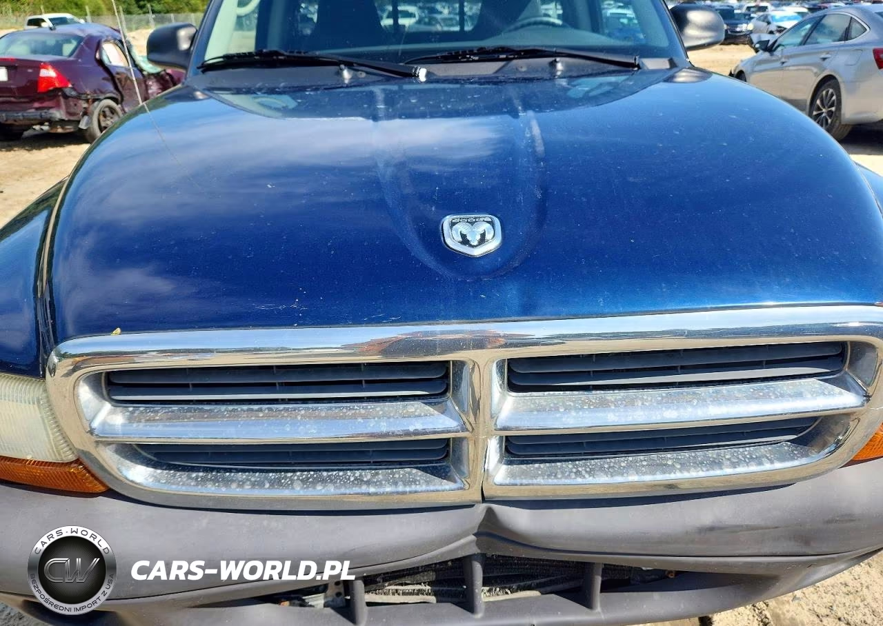 2004 Dodge Dakota Sxt VIN:1D7FL16K44S570311 - 11