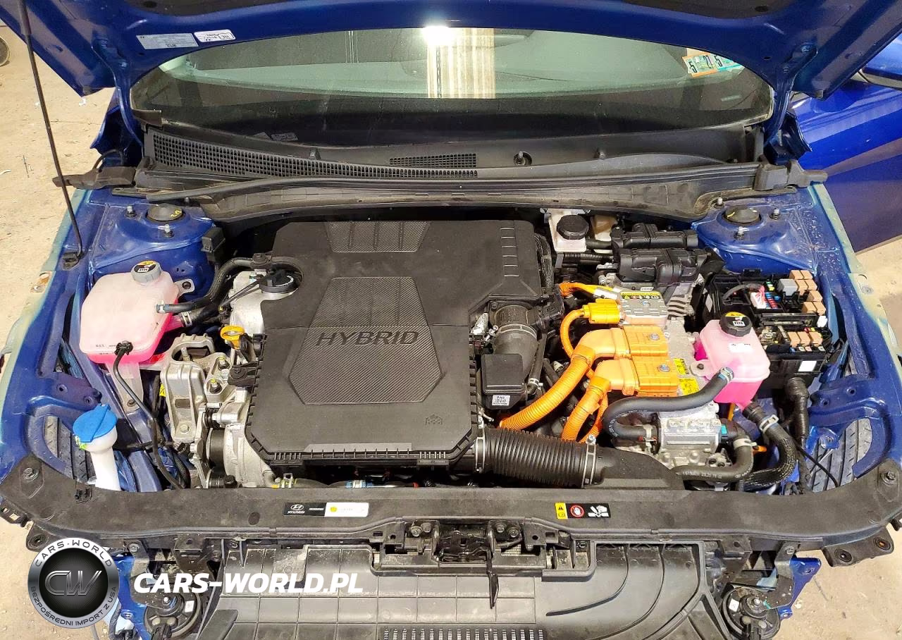 2024 Hyundai Elantra Blue VIN:KMHLM4DJ8RU106290 - 11