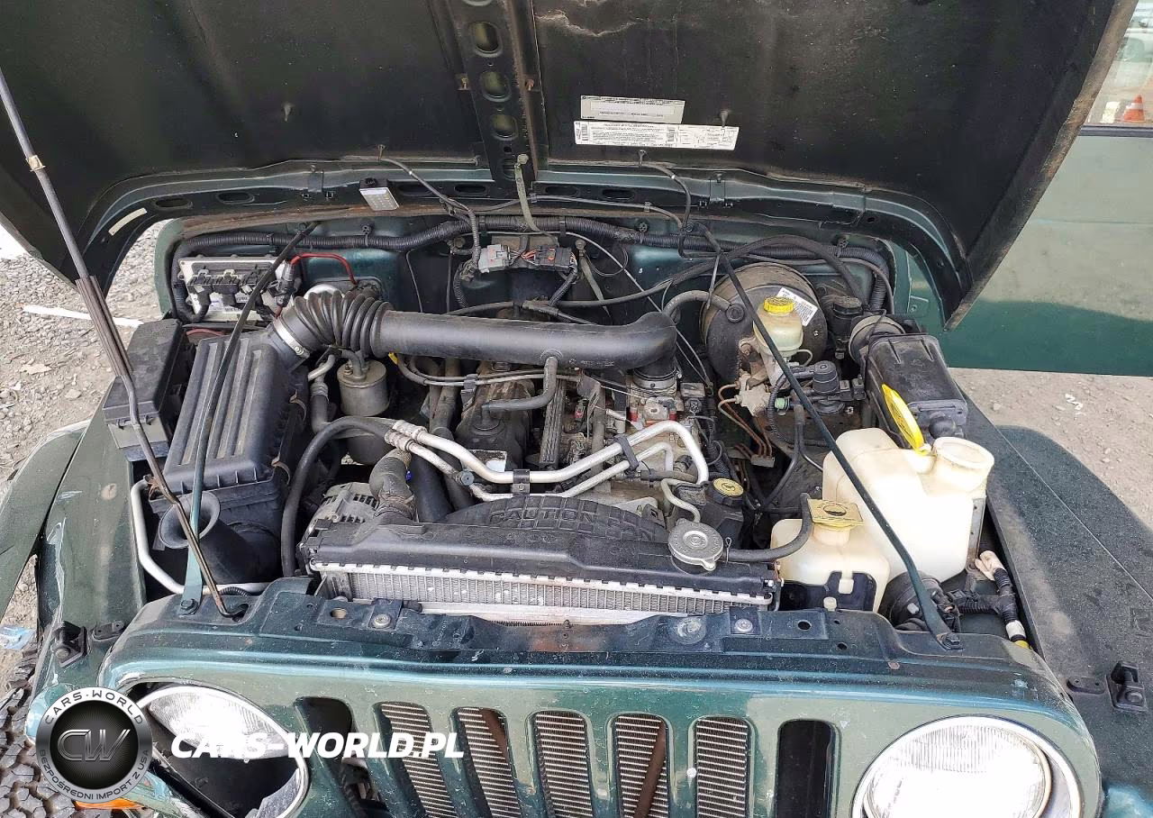2000 Jeep Wrangler - Tj Sahara VIN:1J4FA59S1YP725399 - 11