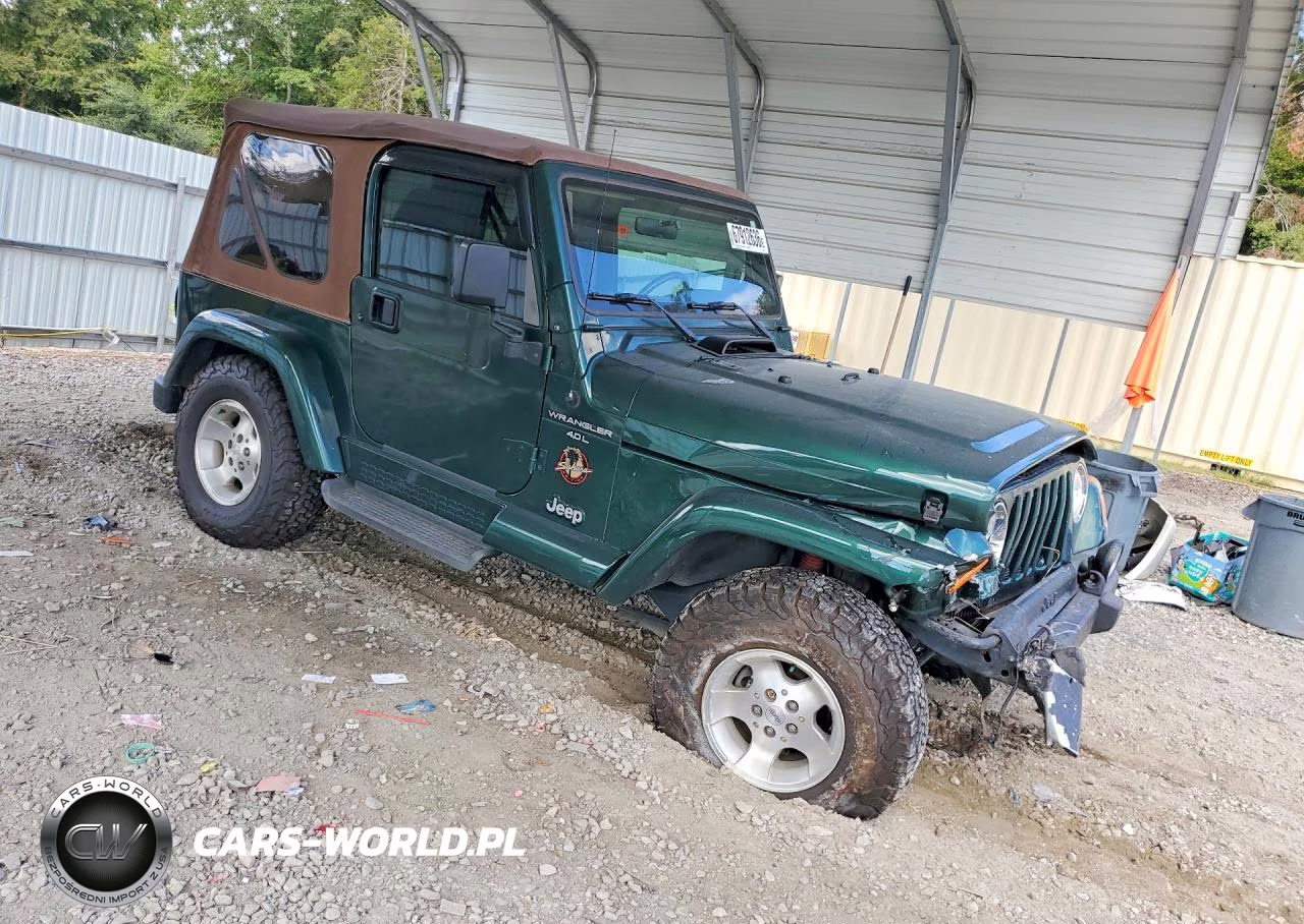 2000 Jeep Wrangler - Tj Sahara VIN:1J4FA59S1YP725399 - 4