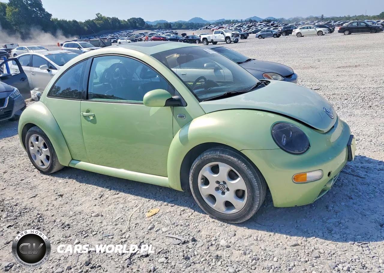 2002 Volkswagen New Beetle Glx VIN:3VWDD21C52M403477 - 4