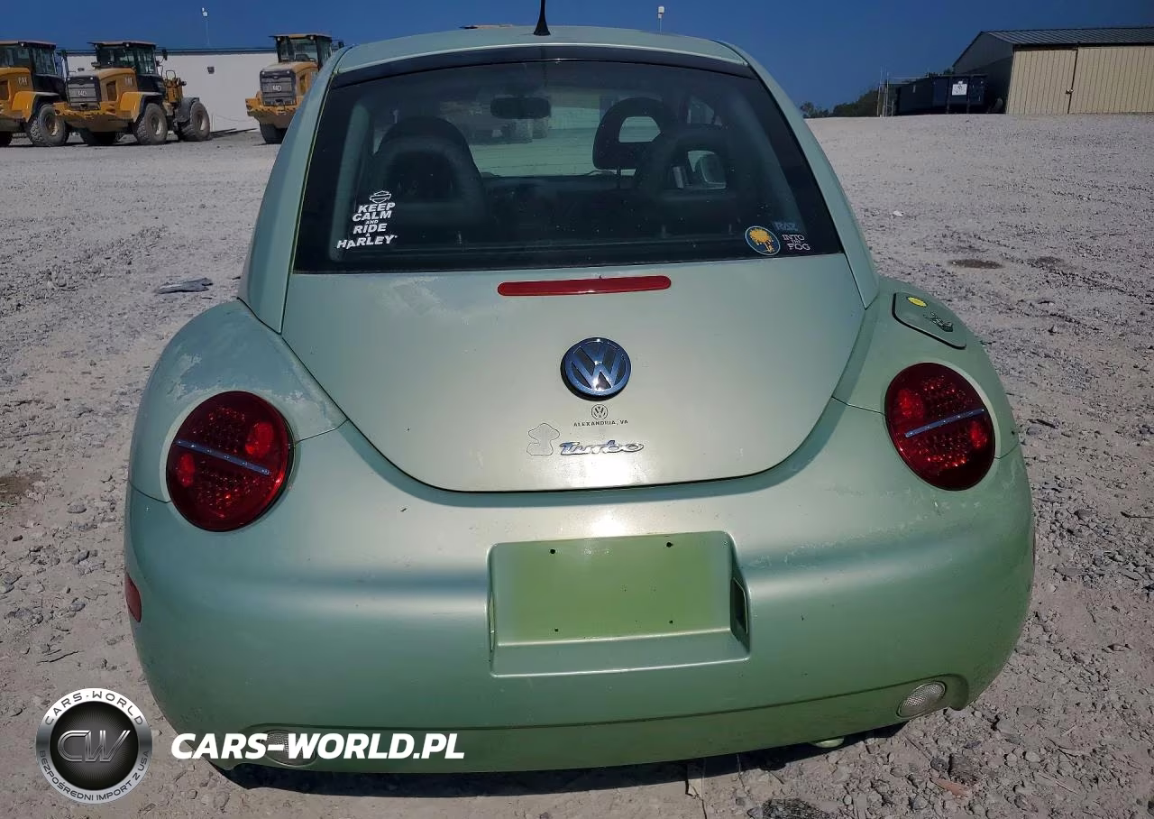 2002 Volkswagen New Beetle Glx VIN:3VWDD21C52M403477 - 6