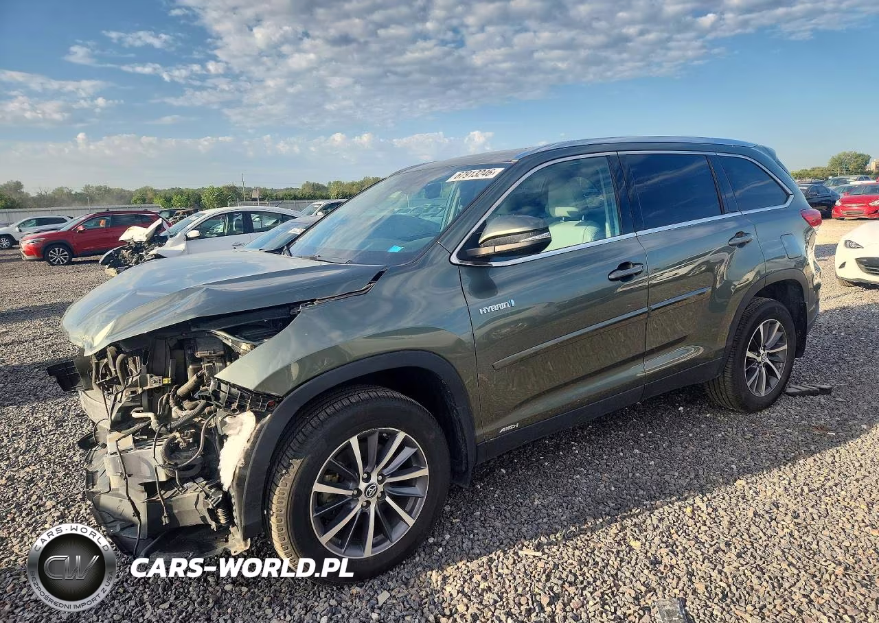 2019 Toyota Highlander Hybrid Xle VIN:5TDJGRFH6KS069700 - 1