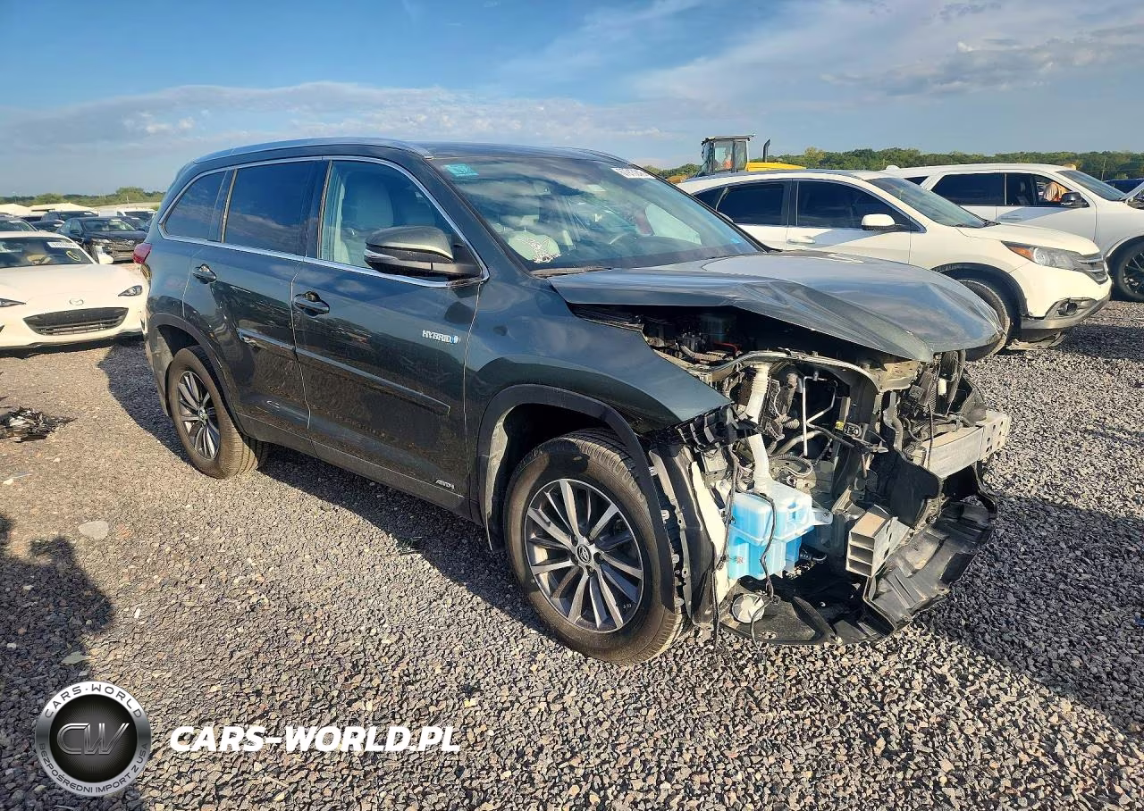 2019 Toyota Highlander Hybrid Xle VIN:5TDJGRFH6KS069700 - 4