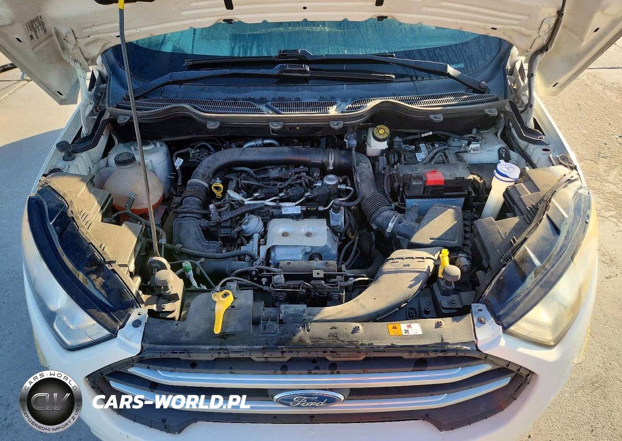 2018 Ford Ecosport Se VIN:MAJ3P1TEXJC179689 - 12