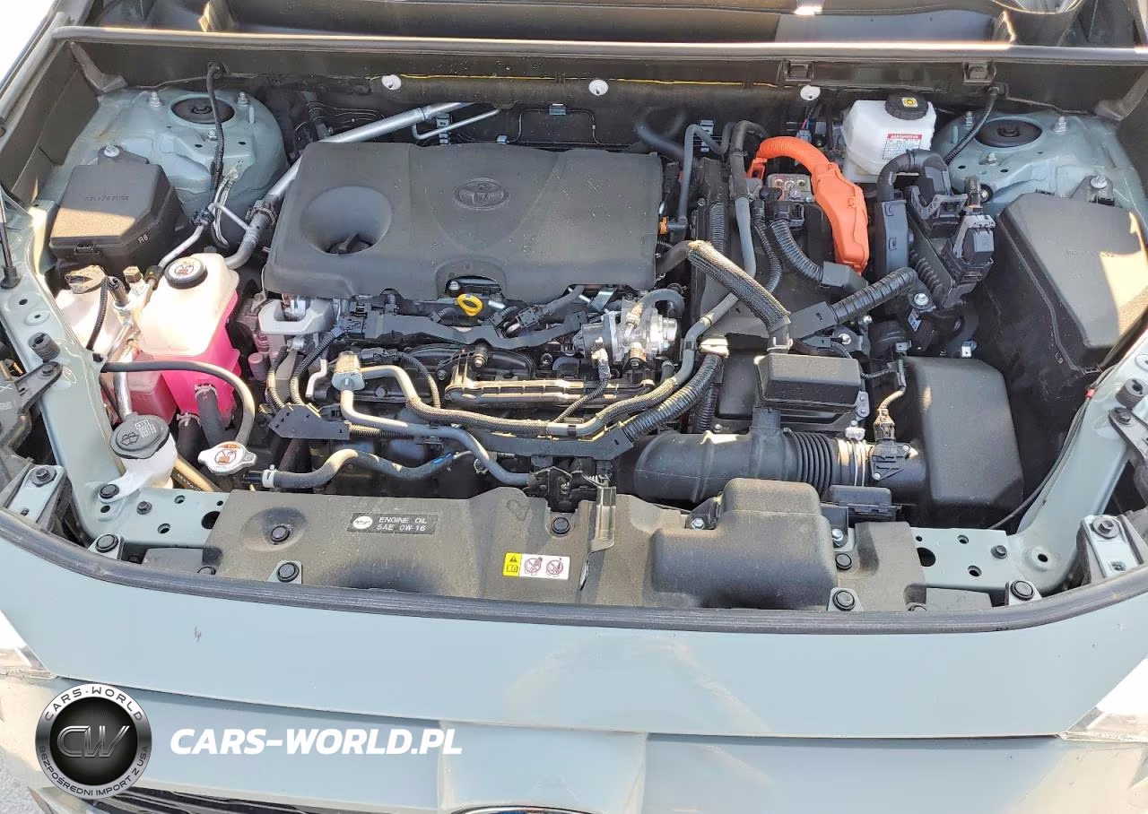 2023 Toyota Rav4 Xle Premium VIN:JTMB6RFV9PD087804 - 12