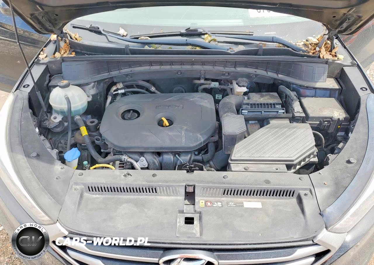 2018 Hyundai Tucson Se VIN:KM8J23A49JU693996 - 11