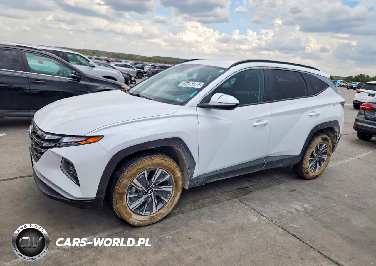 2023 Hyundai Tucson Blue