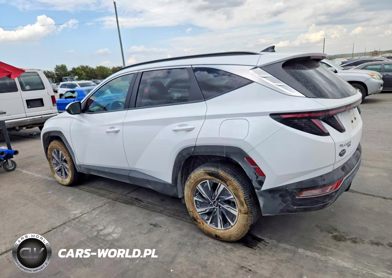 2023 Hyundai Tucson Blue VIN:KM8JBCA1XPU117073 - 2