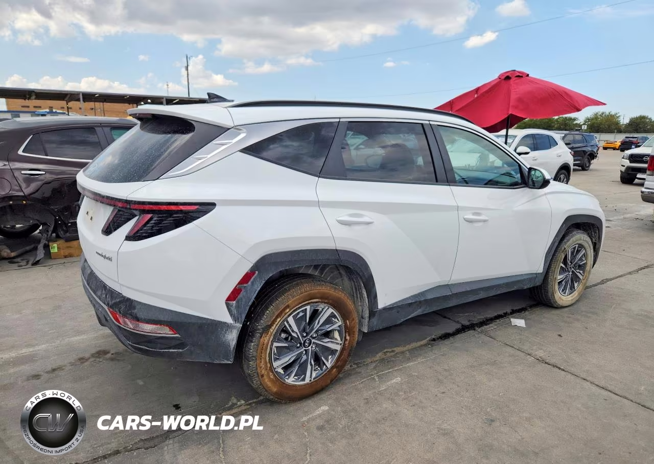2023 Hyundai Tucson Blue VIN:KM8JBCA1XPU117073 - 3