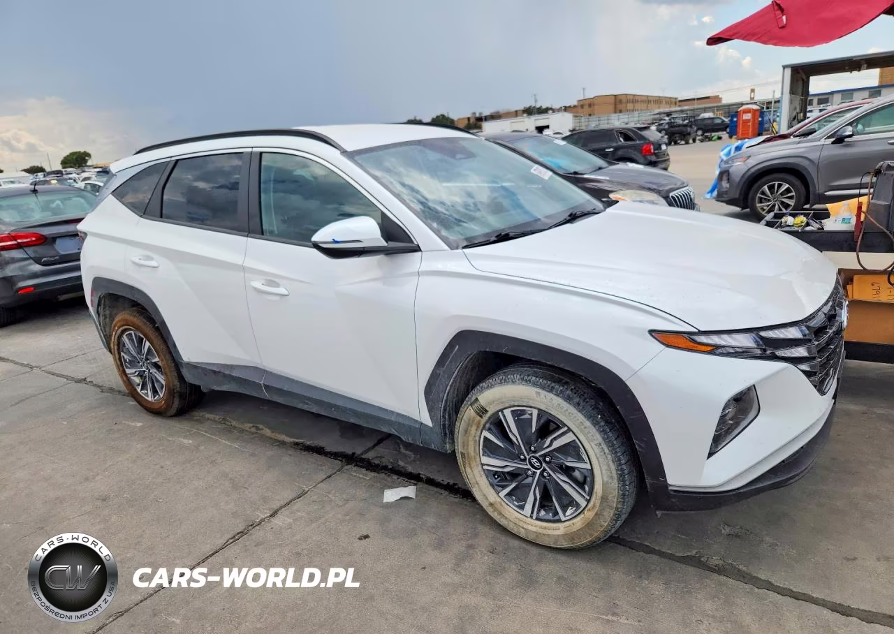 2023 Hyundai Tucson Blue VIN:KM8JBCA1XPU117073 - 4