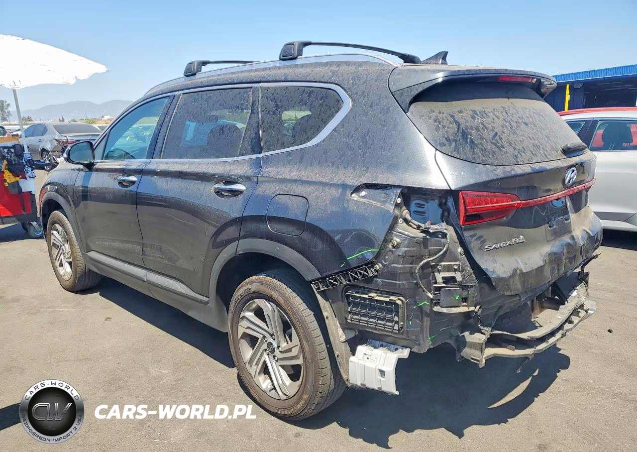 2023 Hyundai Santa Fe Sel VIN:5NMS2DAJ5PH550760 - 2