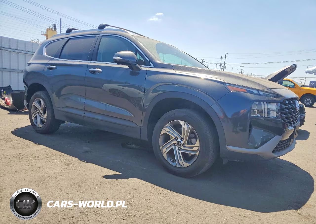2023 Hyundai Santa Fe Sel VIN:5NMS2DAJ5PH550760 - 4