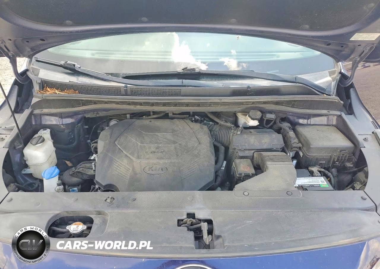2019 Kia Sedona Ex VIN:KNDMB5C17K6534237 - 12