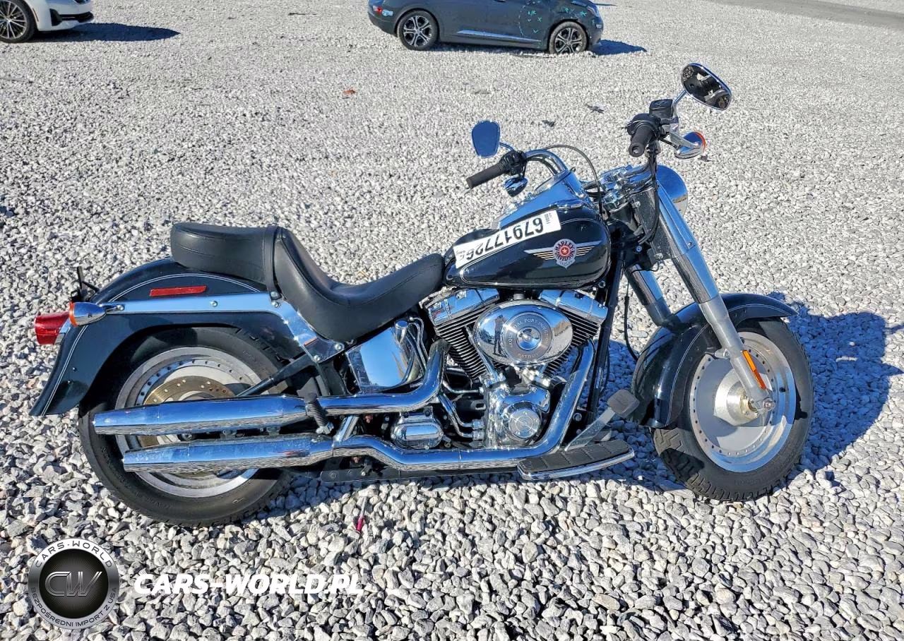 2004 Harley-Davidson Flstfi