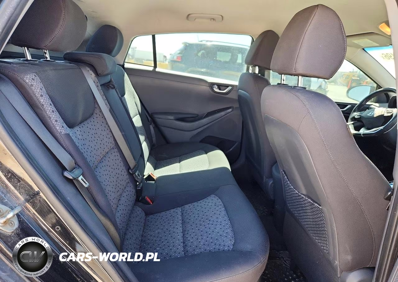 2017 Hyundai Ioniq Sel VIN:KMHC75LC5HU030445 - 10