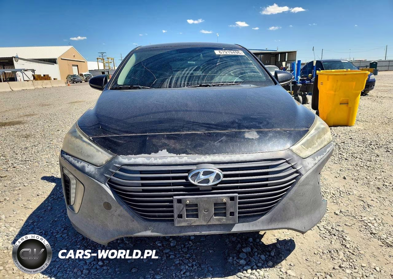 2017 Hyundai Ioniq Sel VIN:KMHC75LC5HU030445 - 5