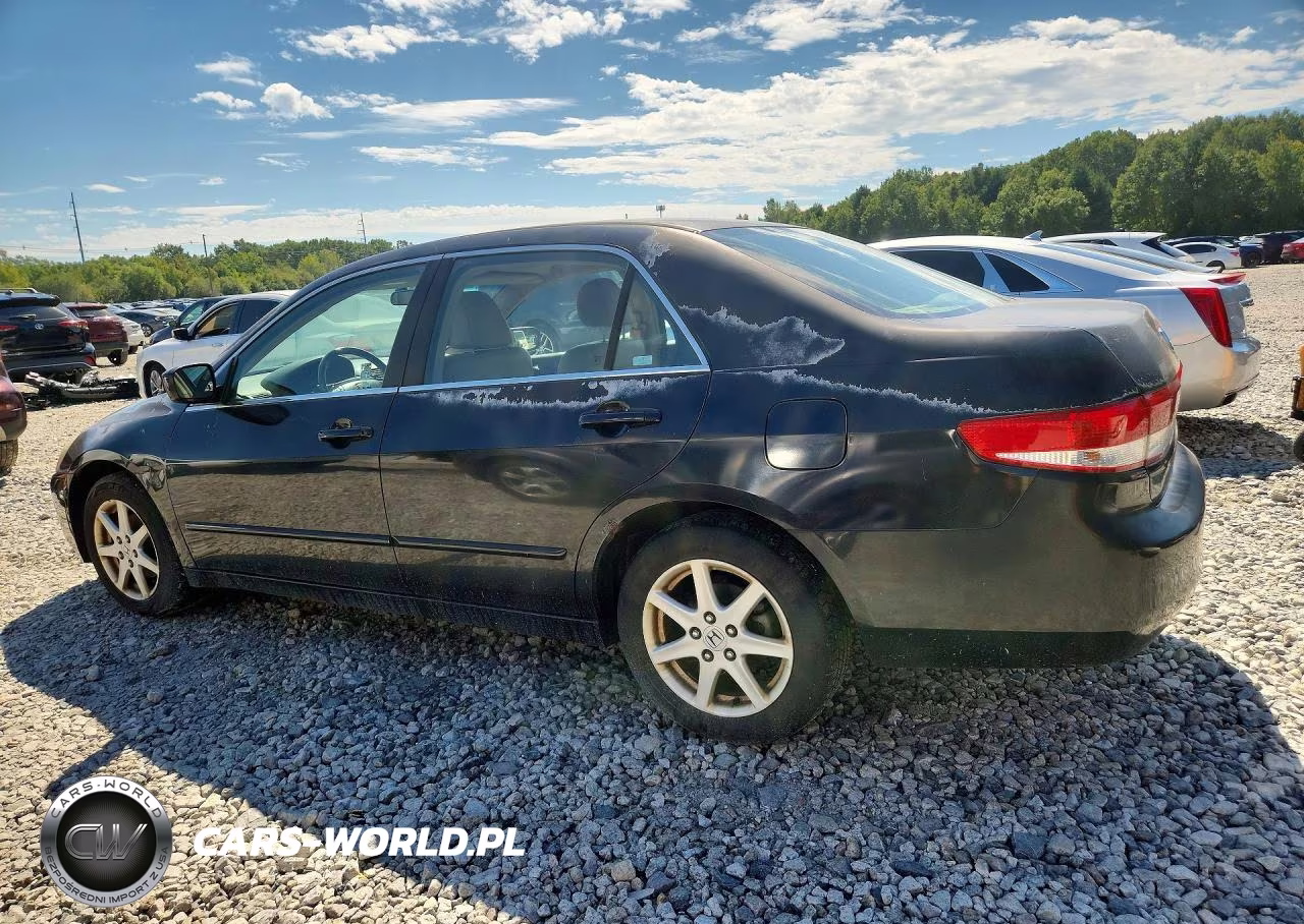 2003 Honda Accord Ex VIN:1HGCM66573A057013 - 2