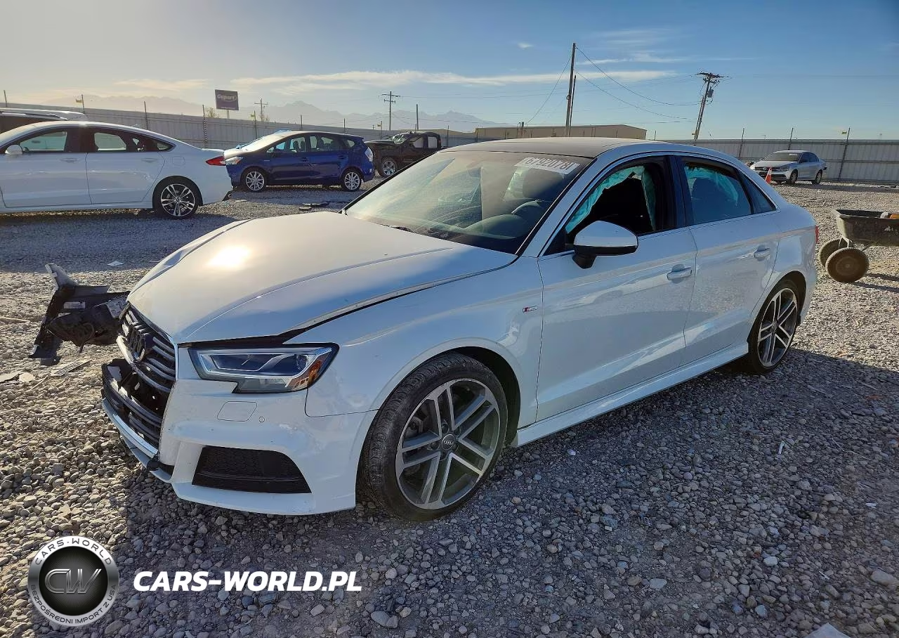 2019 Audi A3 Premium Plus VIN:WAUJEGFF2KA124517 - 1
