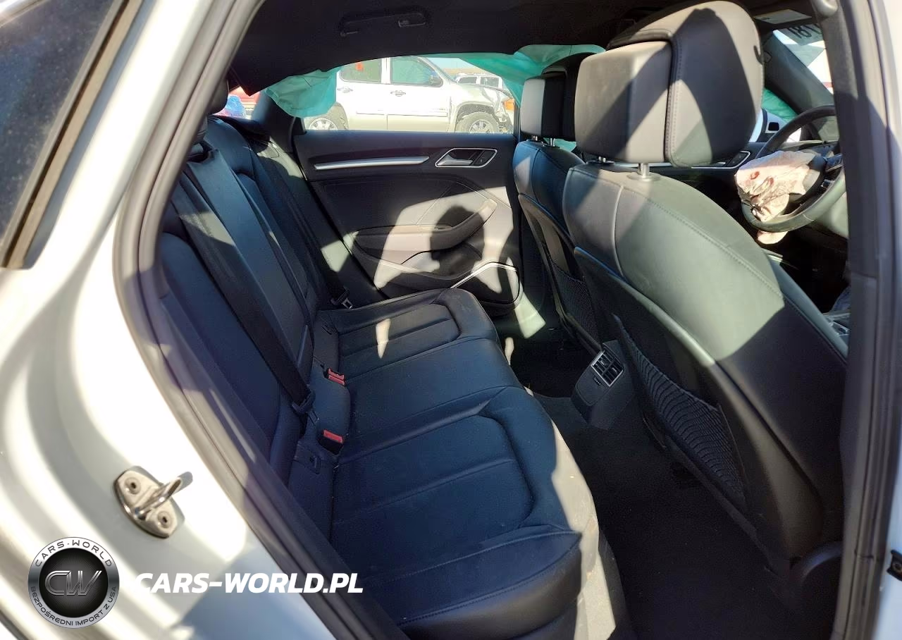 2019 Audi A3 Premium Plus VIN:WAUJEGFF2KA124517 - 10