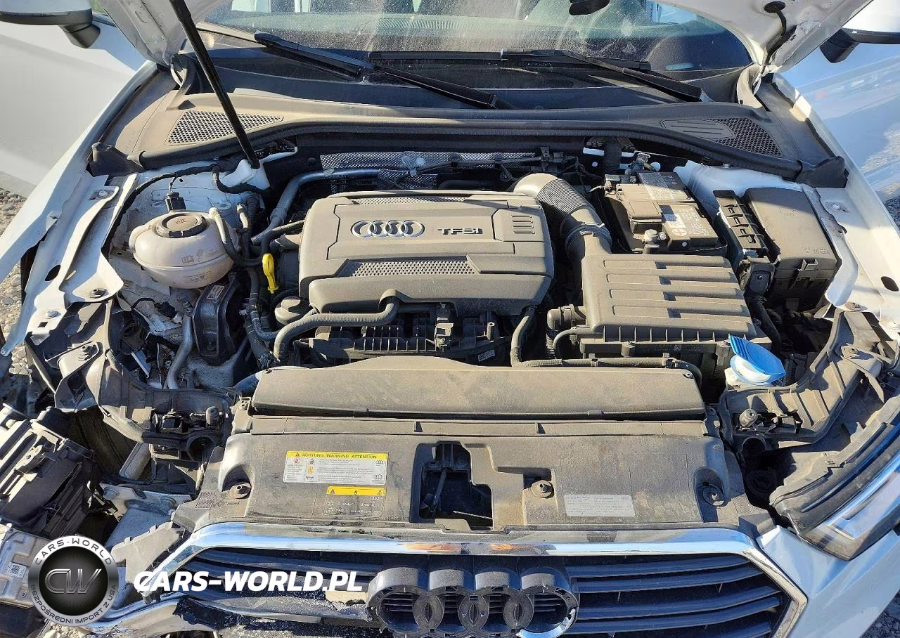 2019 Audi A3 Premium Plus VIN:WAUJEGFF2KA124517 - 11