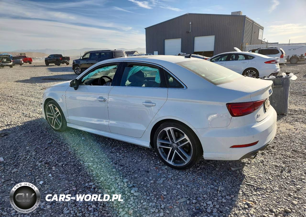 2019 Audi A3 Premium Plus VIN:WAUJEGFF2KA124517 - 2