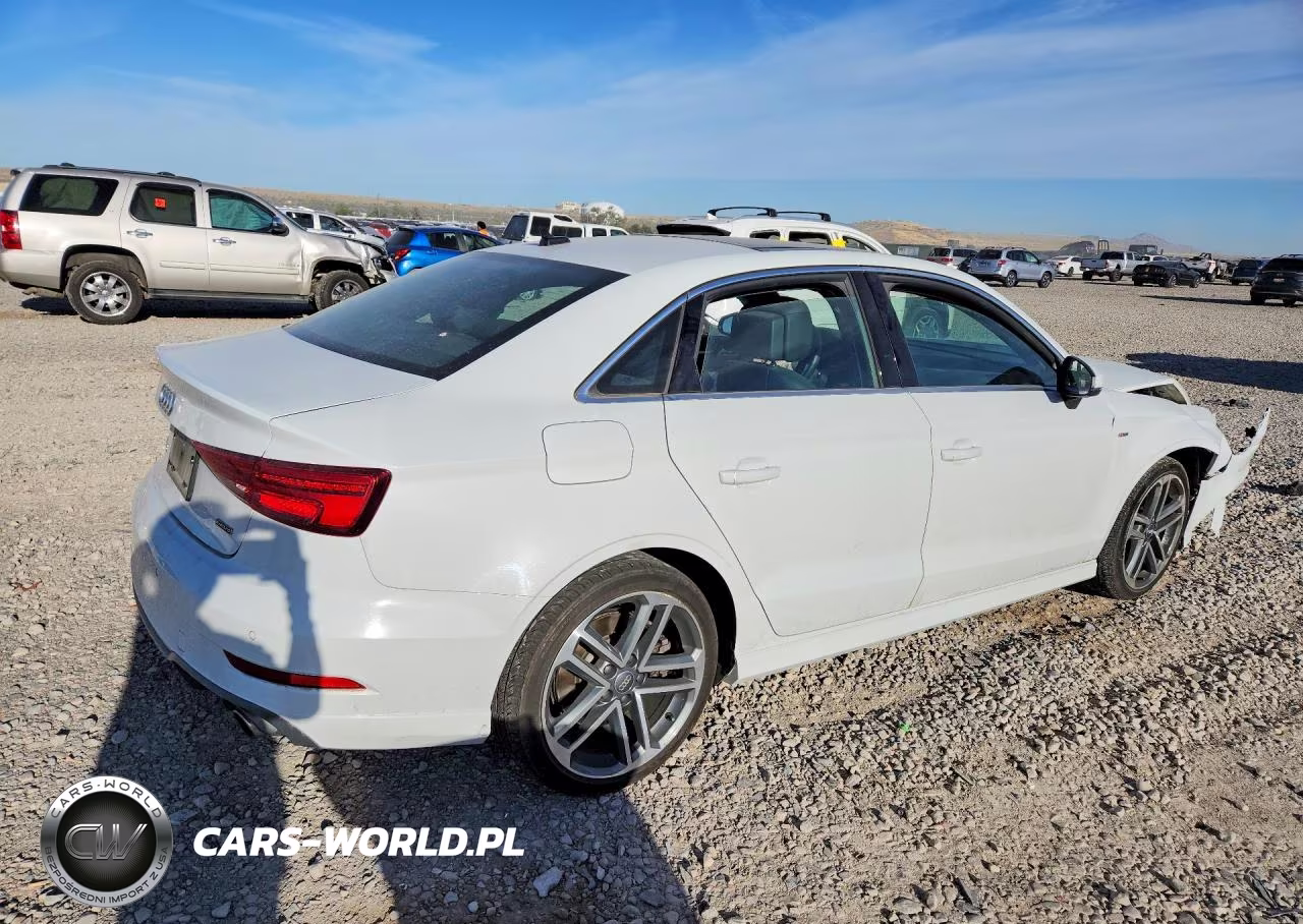 2019 Audi A3 Premium Plus VIN:WAUJEGFF2KA124517 - 3
