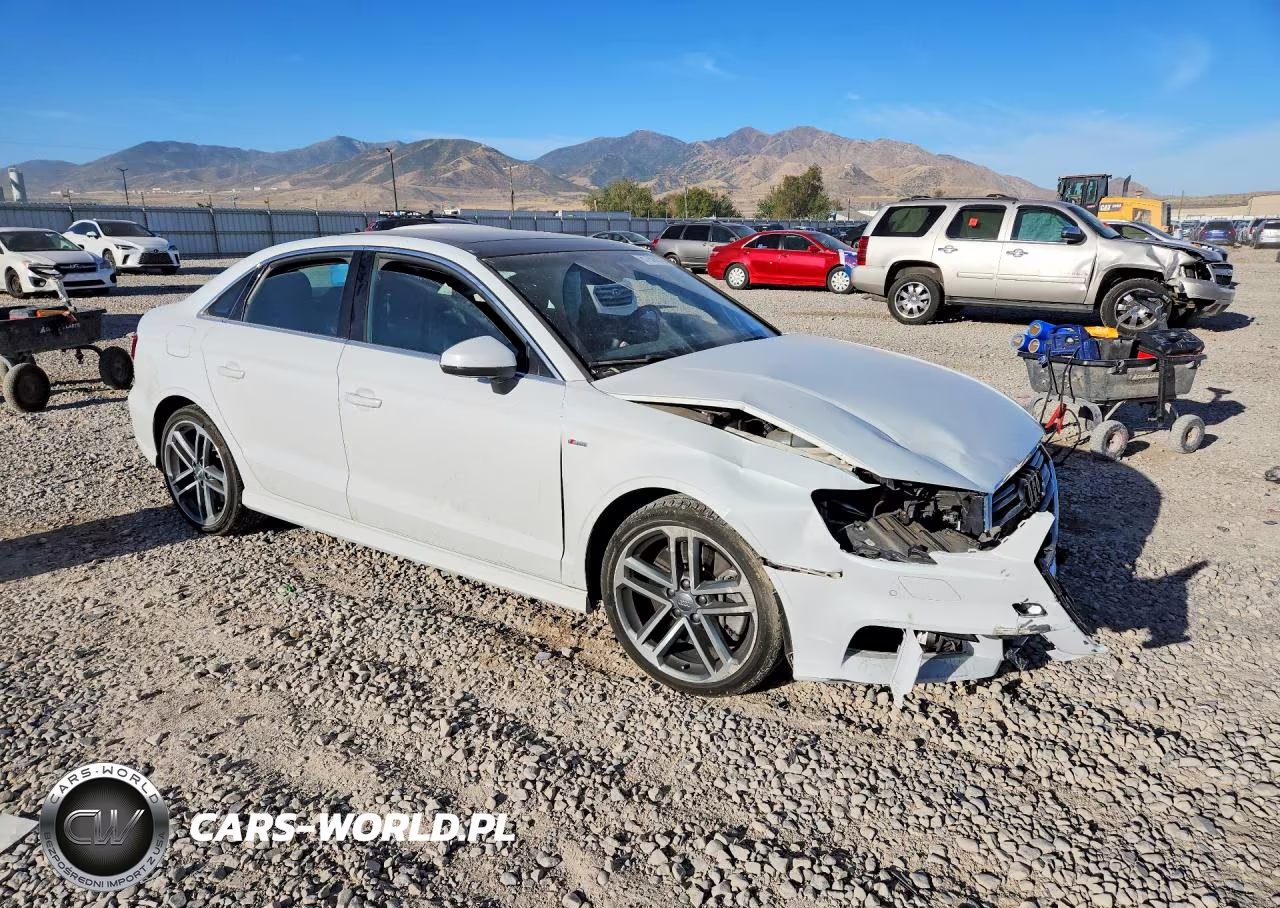 2019 Audi A3 Premium Plus VIN:WAUJEGFF2KA124517 - 4