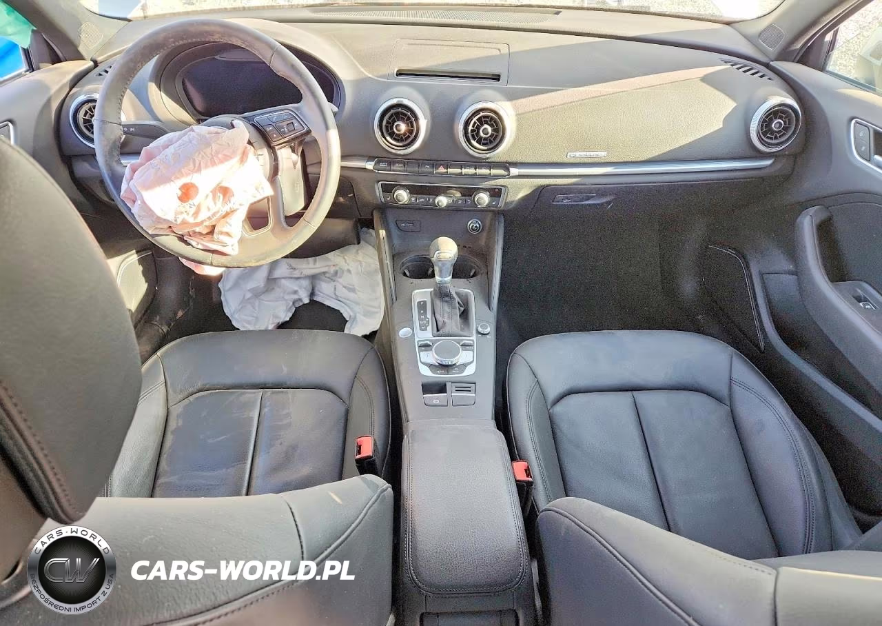 2019 Audi A3 Premium Plus VIN:WAUJEGFF2KA124517 - 8