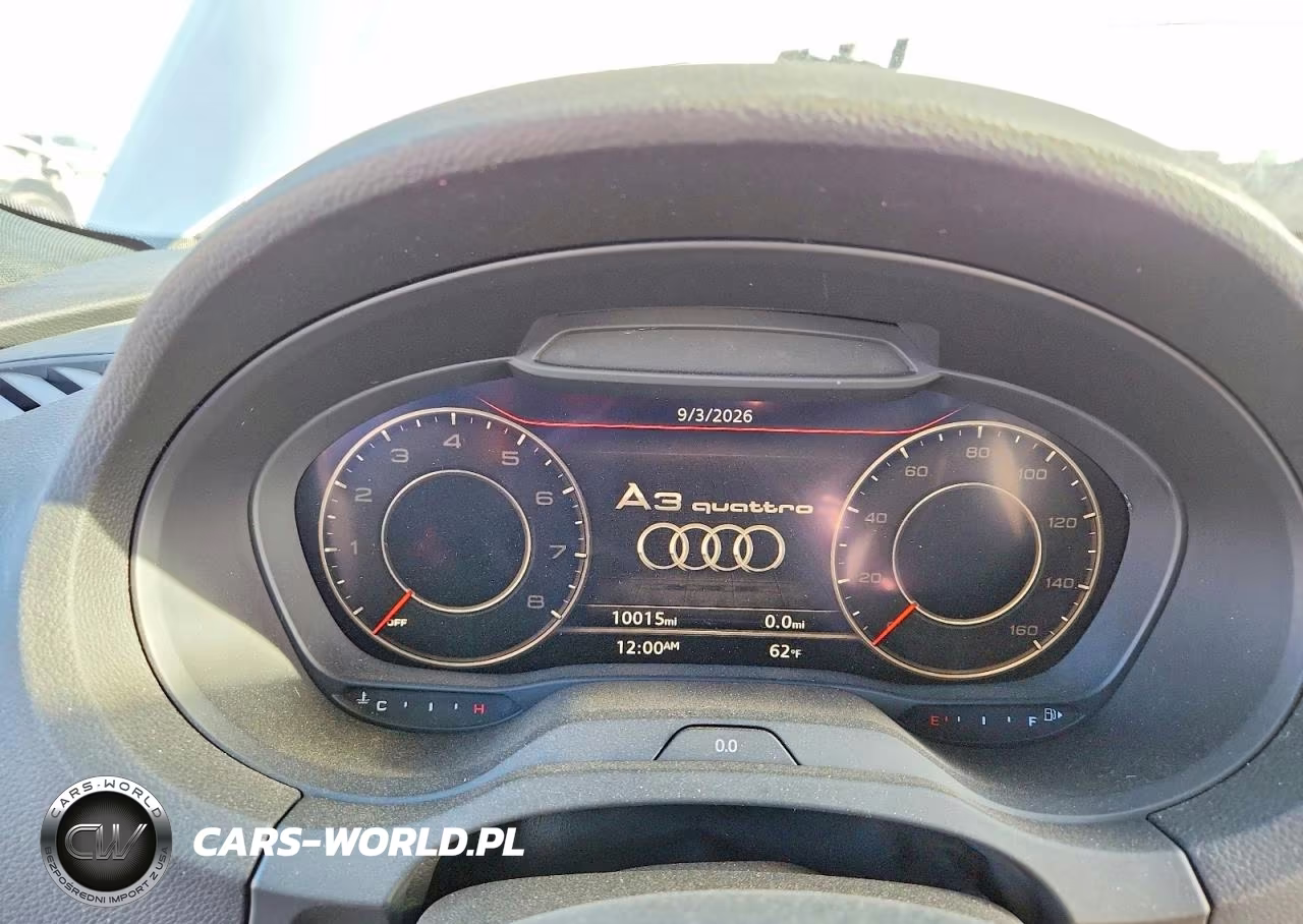 2019 Audi A3 Premium Plus VIN:WAUJEGFF2KA124517 - 9