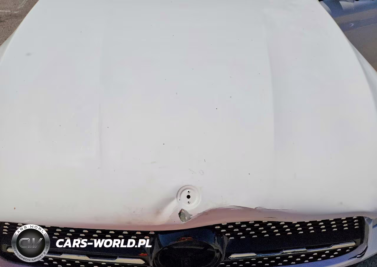 2021 Mercedes-Benz Glc 300 VIN:W1N0G8DB6MV286749 - 11