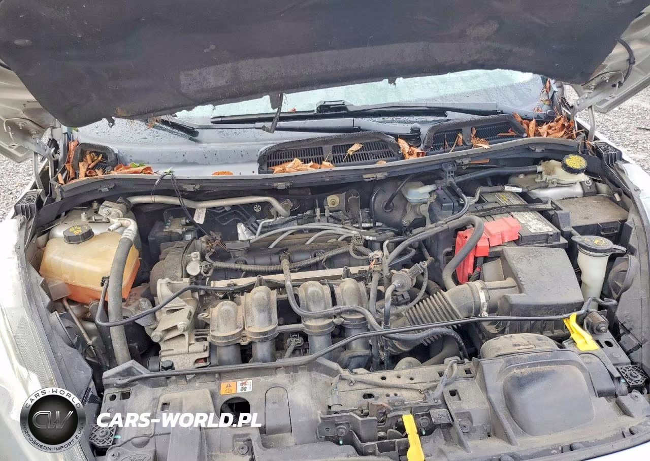 2014 Ford Fiesta Se VIN:3FADP4BJXEM129786 - 11