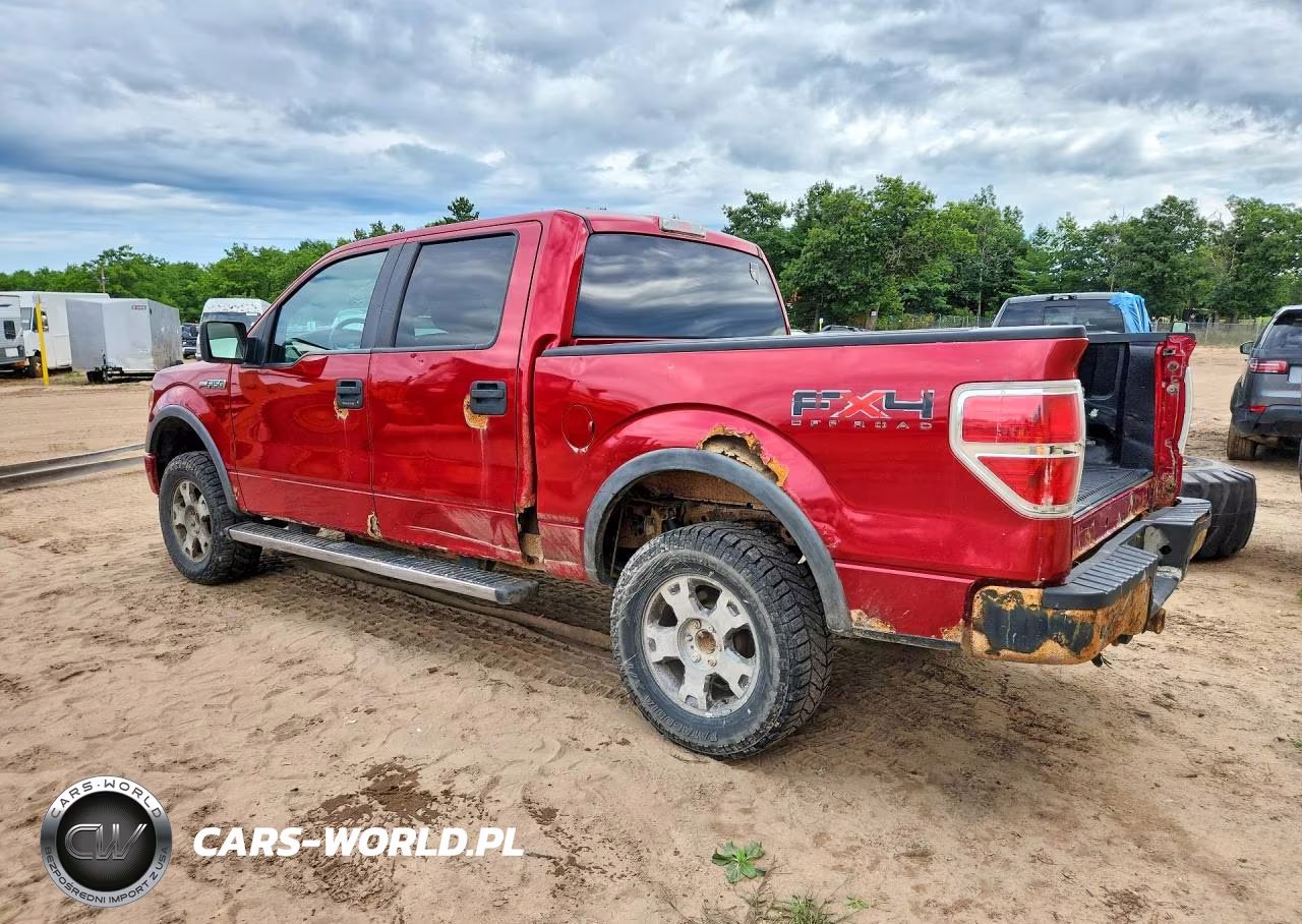 2010 Ford F150 Supercrew VIN:1FTFW1EV9AFB82363 - 2