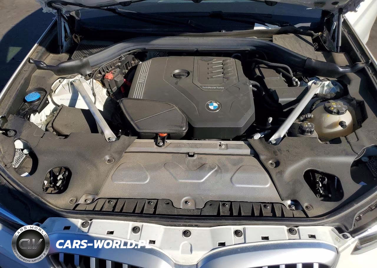 2023 BMW X3 Sdrive30I VIN:5UX43DP03P9T08418 - 12