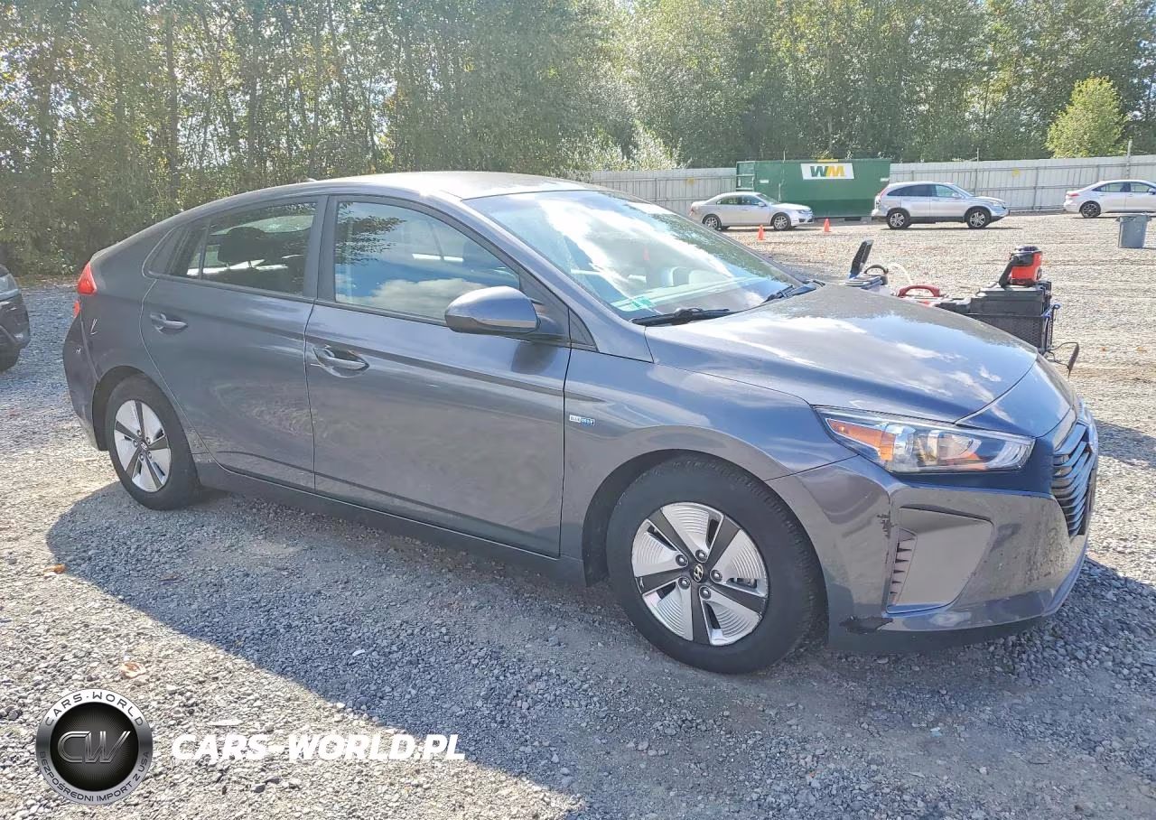 2018 Hyundai Ioniq Blue VIN:KMHC65LC4JU091536 - 4